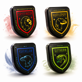 HARRY POTTER ESCUDO 28GR